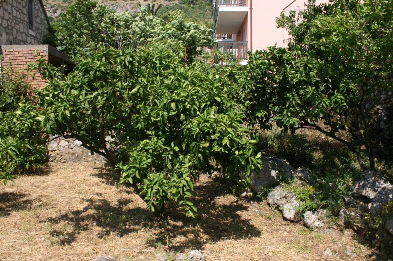 Apartments By The Sea Podaca, Makarska - 6874 Buitenkant foto